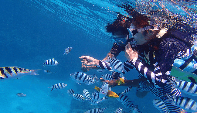 오키나와 비세자키 해변에서 스노클링 즐기는 모습